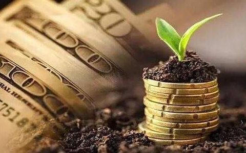 雪牛期货直播视频